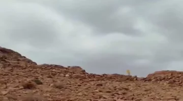 تتجاوز 30 درجة.. موجة حرارة ونشاط للرياح تضرب البلاد بداية من السبت